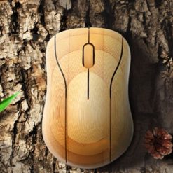 Chuot May Tinh Co Day Qua Tang Phu Thinh (3)