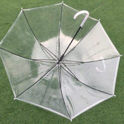 Z5705738342148 B752f1c9ed4f795c81c88434acb463a5