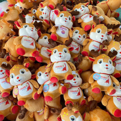 Z6300562246122 626df2ebccddc5e9093d045eecee8aab