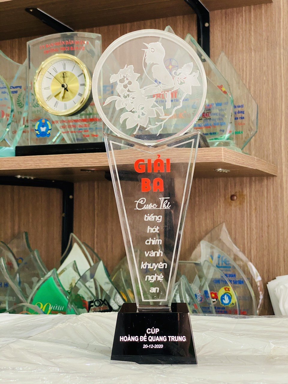 CÚp BiỂu TrƯng Pha LÊ ThỦy Tinh In Logo (5) CÚp BiỂu TrƯng Pha LÊ ThỦy Tinh In Logo (5)